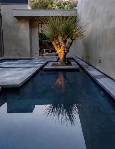 A yucca tree stands at the center of a serene reflecting pool in a modern courtyard at dusk.