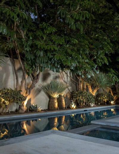 An illuminated garden at dusk with a serene swimming pool and tropical plants.