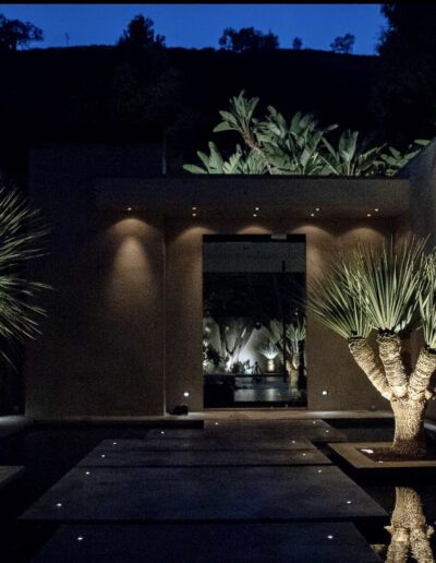 Modern house entrance at night with illuminated pathway and decorative plants.