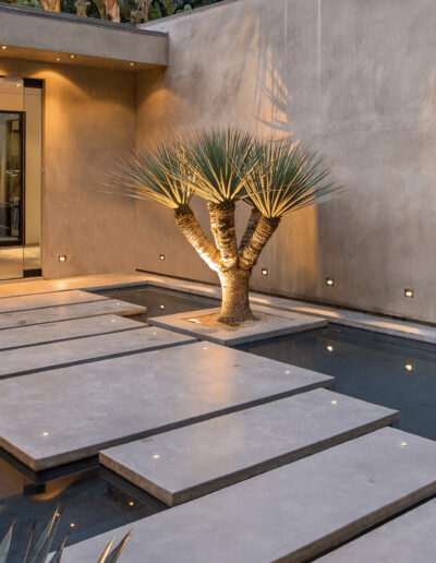 Modern outdoor space featuring concrete stepping stones over a reflection pool, flanked by desert plants and leading to a minimalist home entrance.