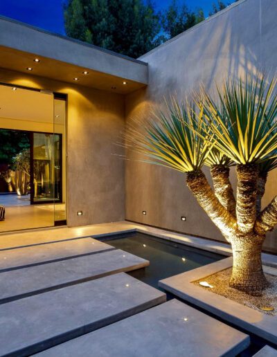 Modern home entrance with stepping stones over water and an illuminated yucca plant at dusk.